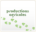 Productions agricoles